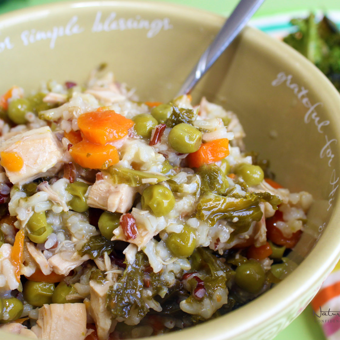 Instant Pot Oregano Chicken and Rice Natural Oil Mom